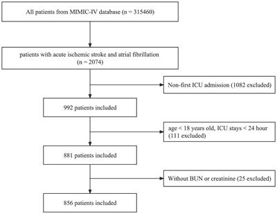 The association of blood urea nitrogen-to-creatinine ratio and in-hospital mortality in acute ischemic stroke patients with atrial fibrillation: data from the MIMIC-IV database